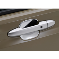 Door handle protection